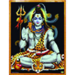 Om Shiv Jyotish